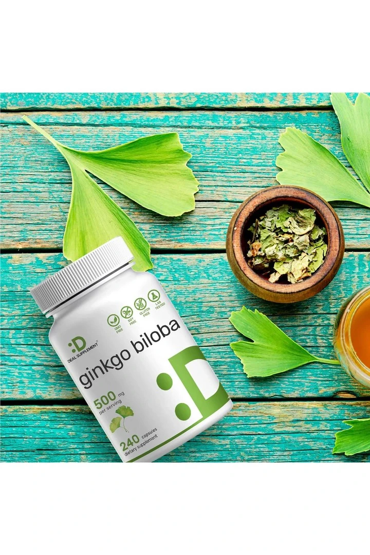 Ginkgo Biloba 500mg Per Serving, 240 Capsules