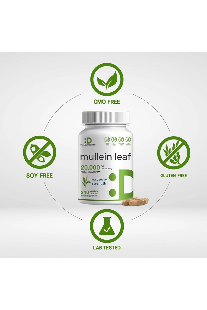 Mullein Leaf 20,000mg Herbal Equivalent, 240 Veggie Capsules