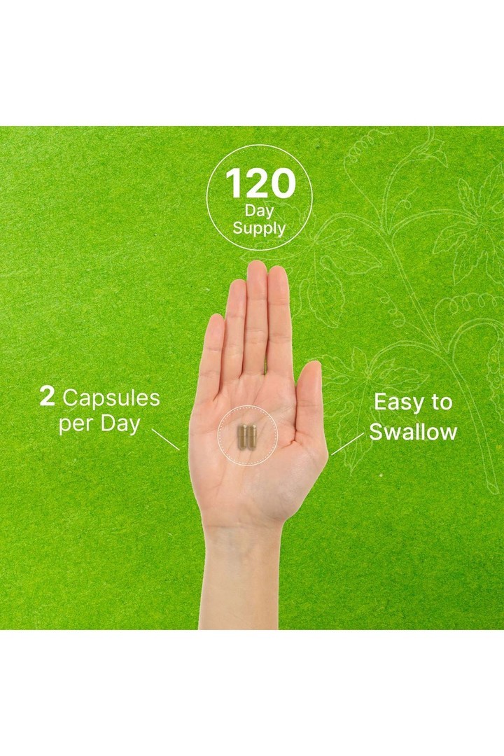 Ginkgo Biloba 500mg Per Serving, 240 Capsules