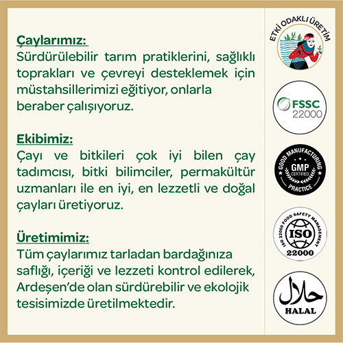 Geleneksel İçici Çay Seti