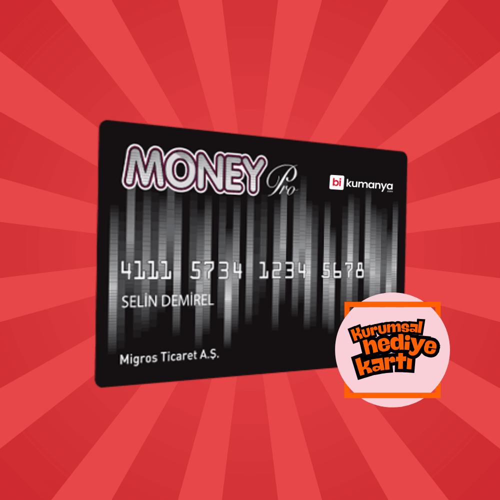 Money Pay PRO Kart