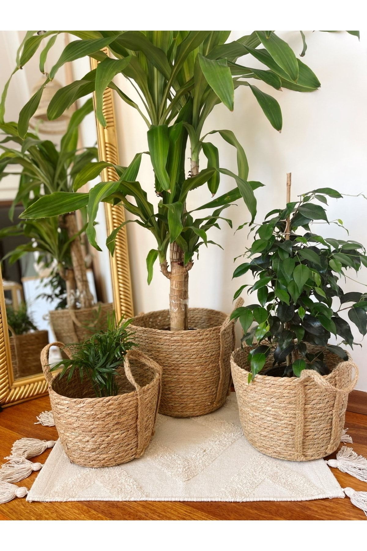 Dekoratif Çok Amaçlı 3lü Hasır Sepet/saksılık/düzenleyici Natural