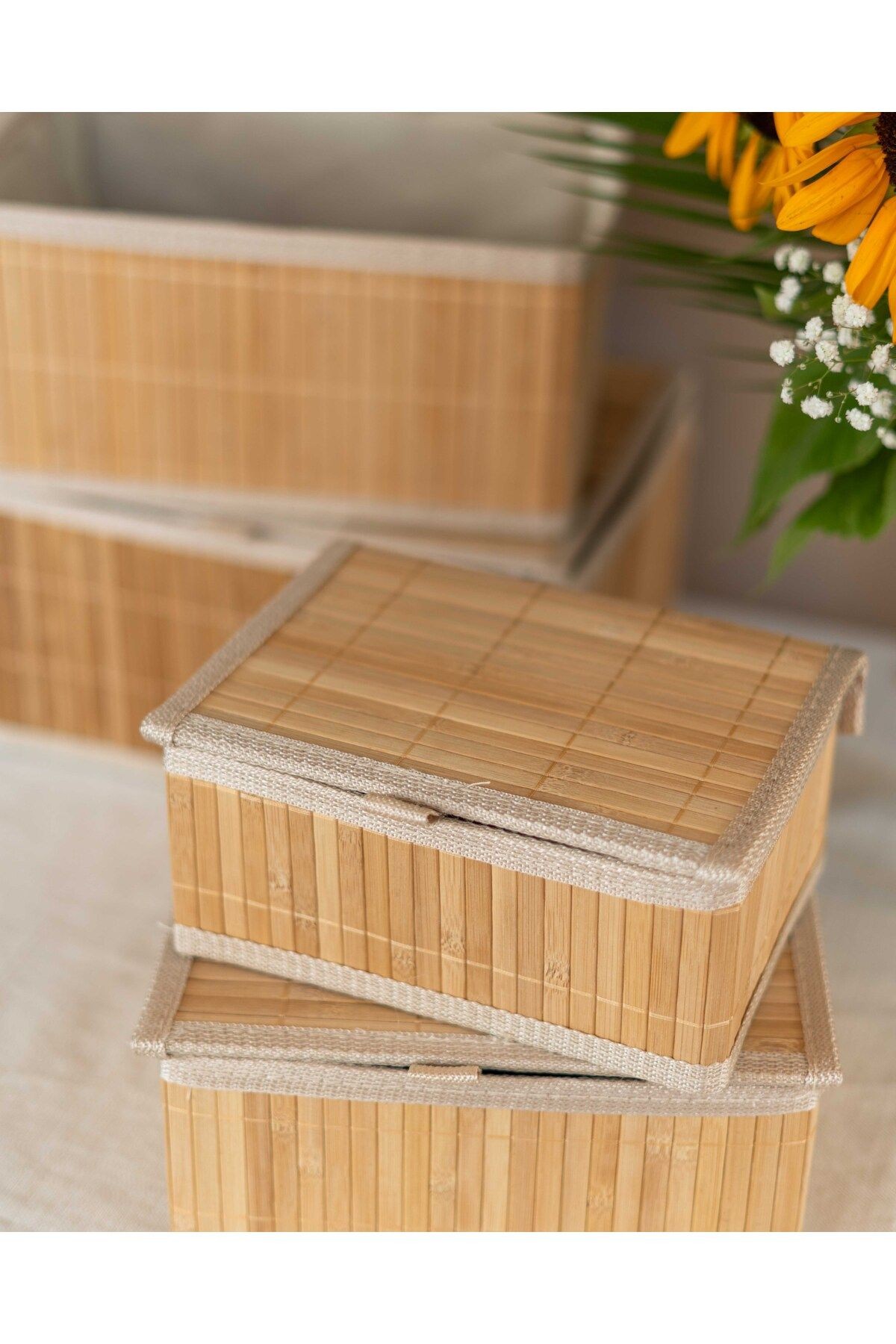 Bambu 23x16x10cm Çok Amaçlı Kapaklı Sepet/Düzenleyici/Organizer