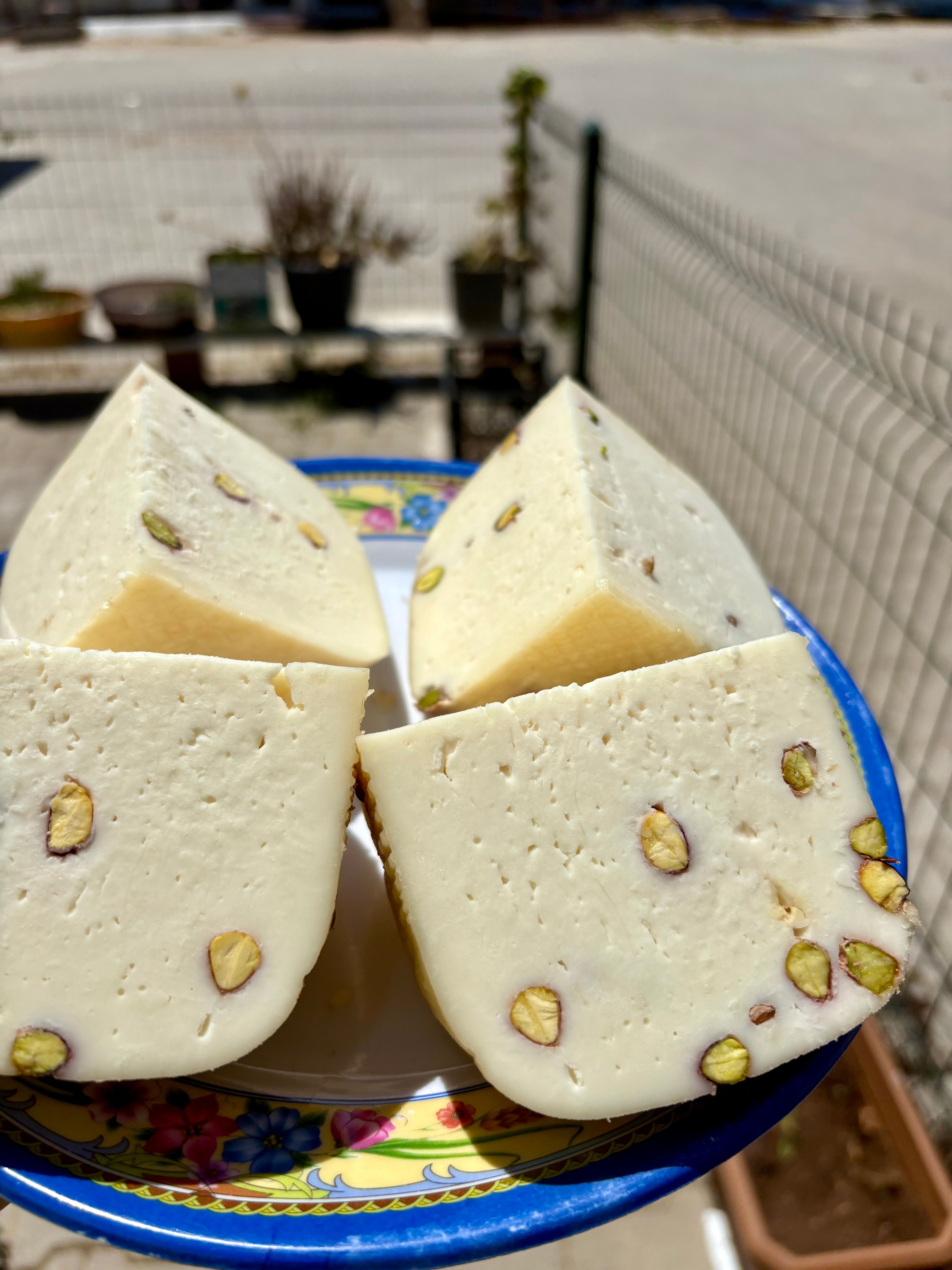Fıstıklı Caciotta (300gr)