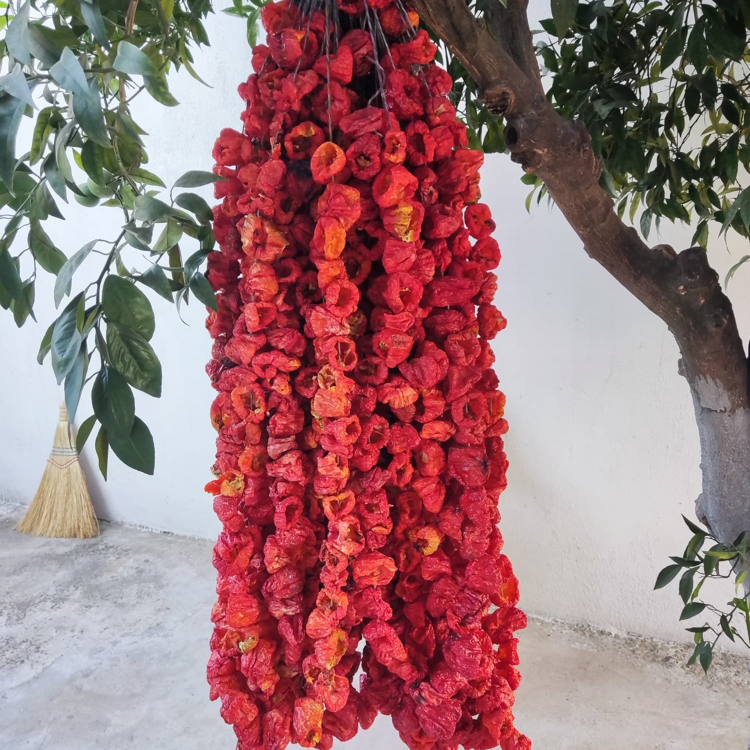 Dolmalık Acı Biber