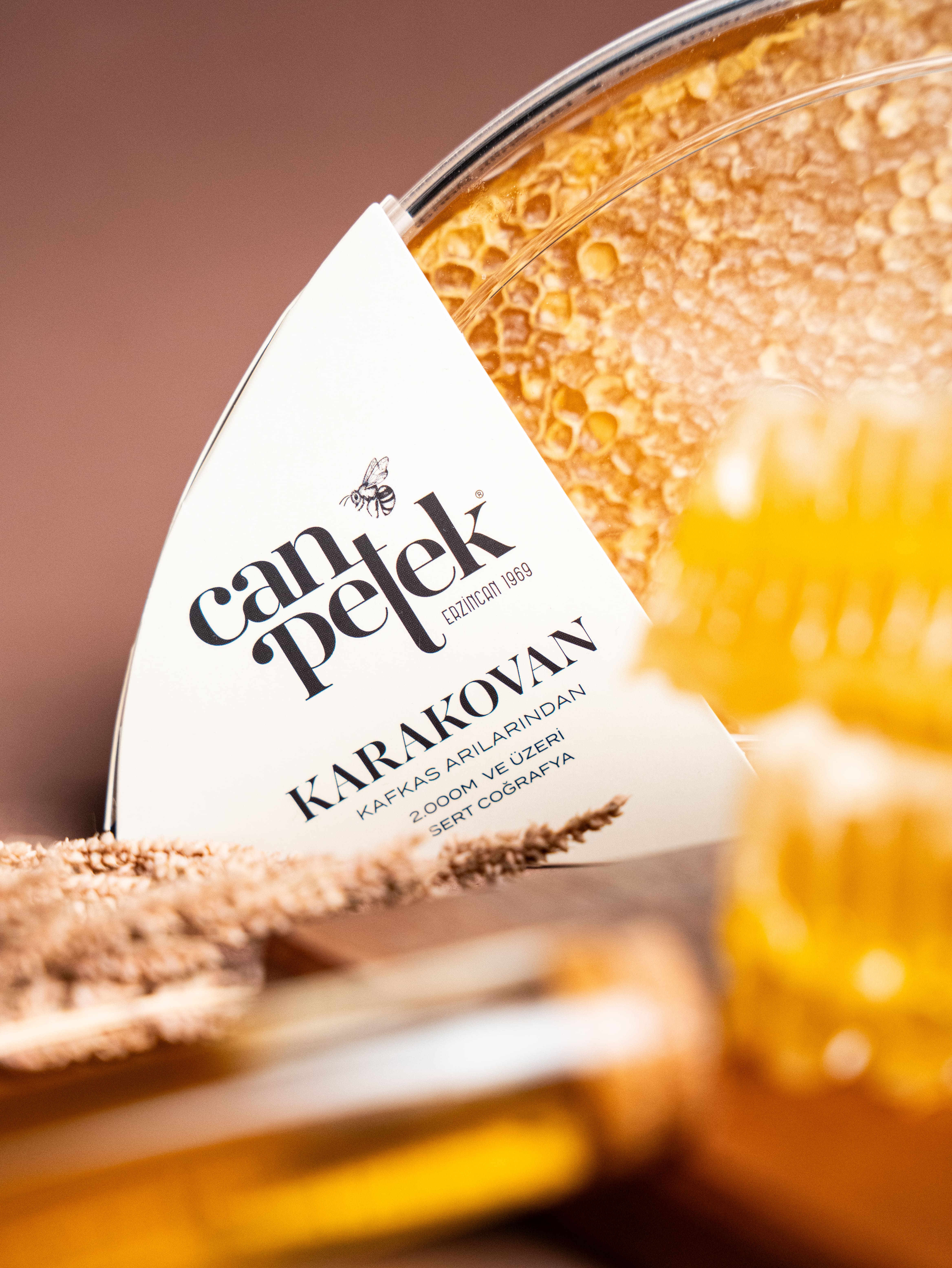 Canpetek Üçgen Karakovan Bal 470 G