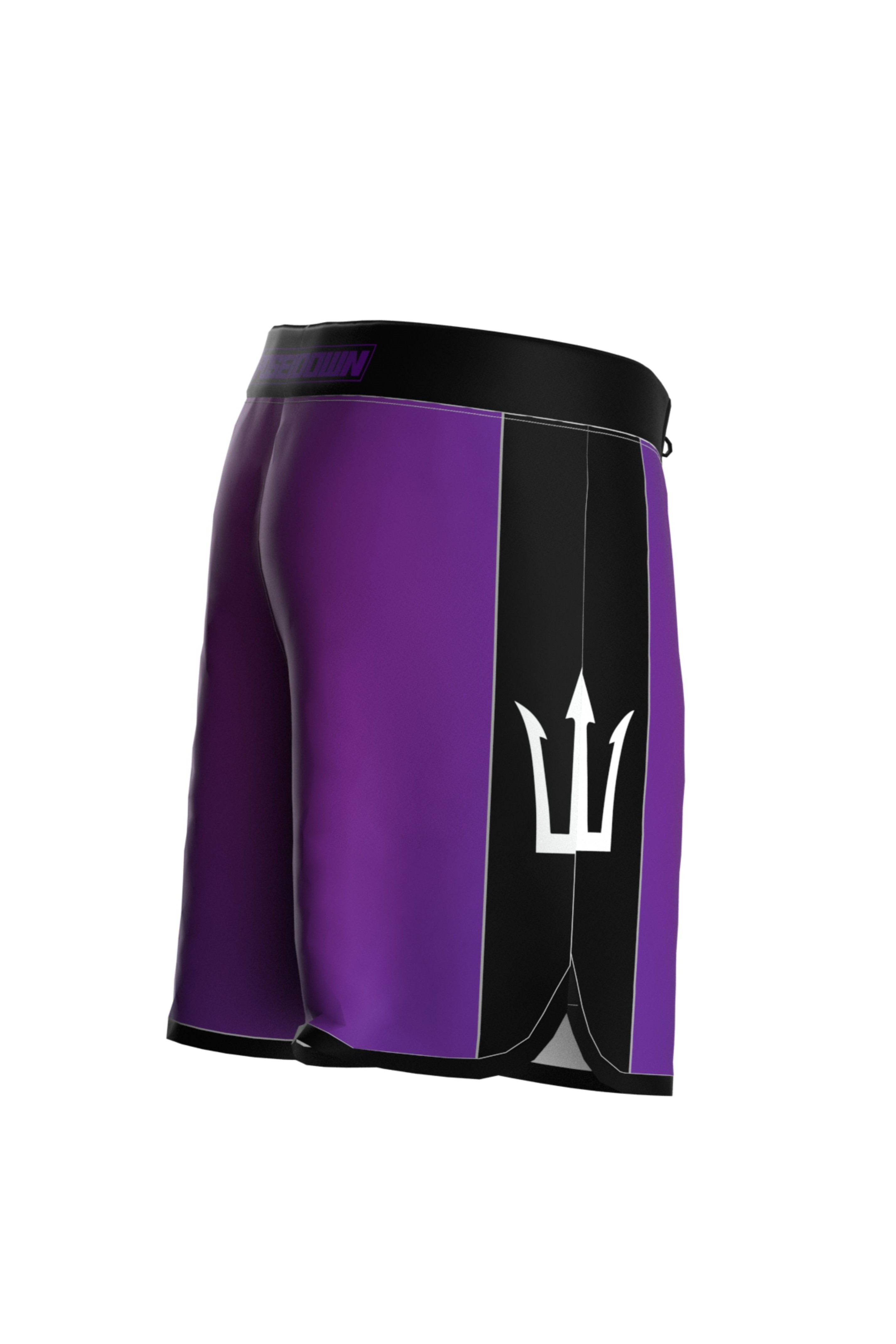 RollyRace Npc Short - PURPLE