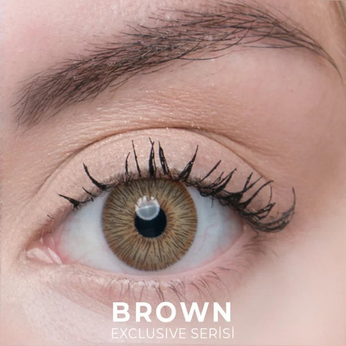 Exclusive Brown
