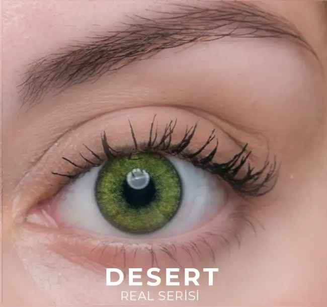 Real Desert