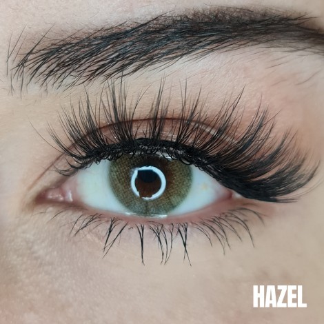 Hazel(3 Aylık)