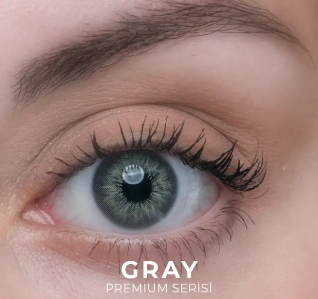 Premium Gray
