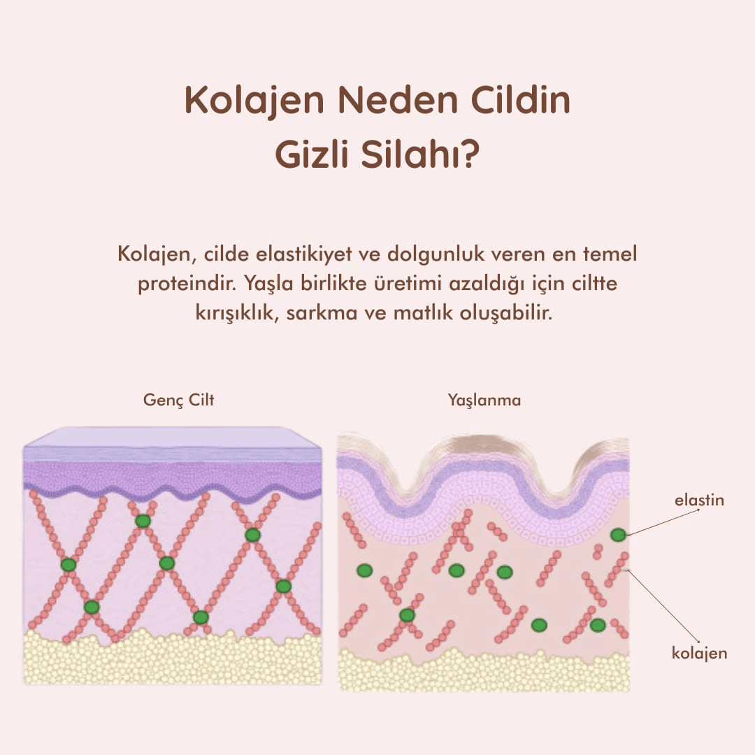 Kolajen