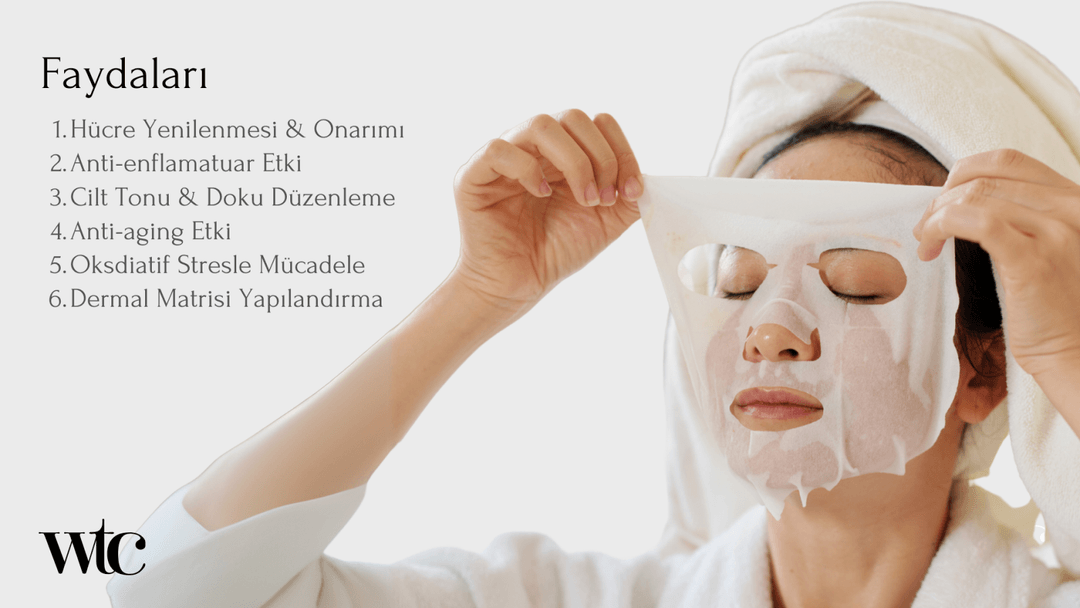 Faydaları Nedir?