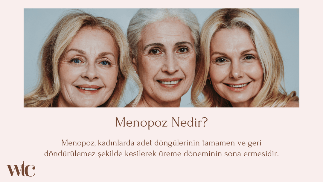 Menopoz Nedir?