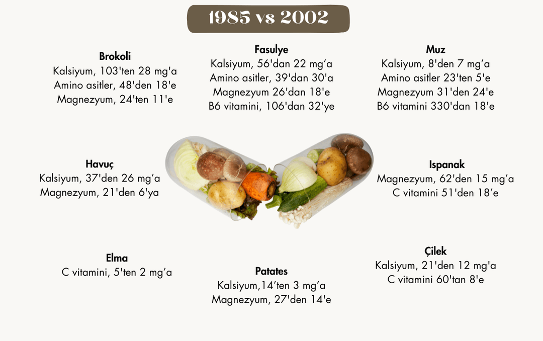 Gıdaların Besin Değerleri