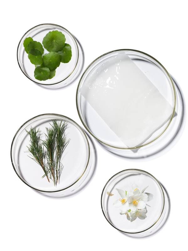 Terrazen PDRN Total Renew Maske x10