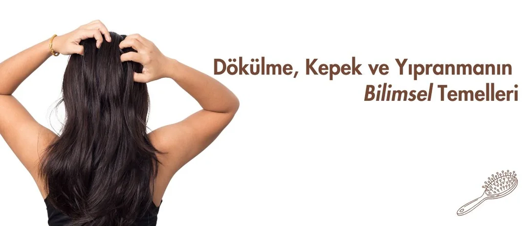 Dökülme, Kepek ve Yıpranmanınn