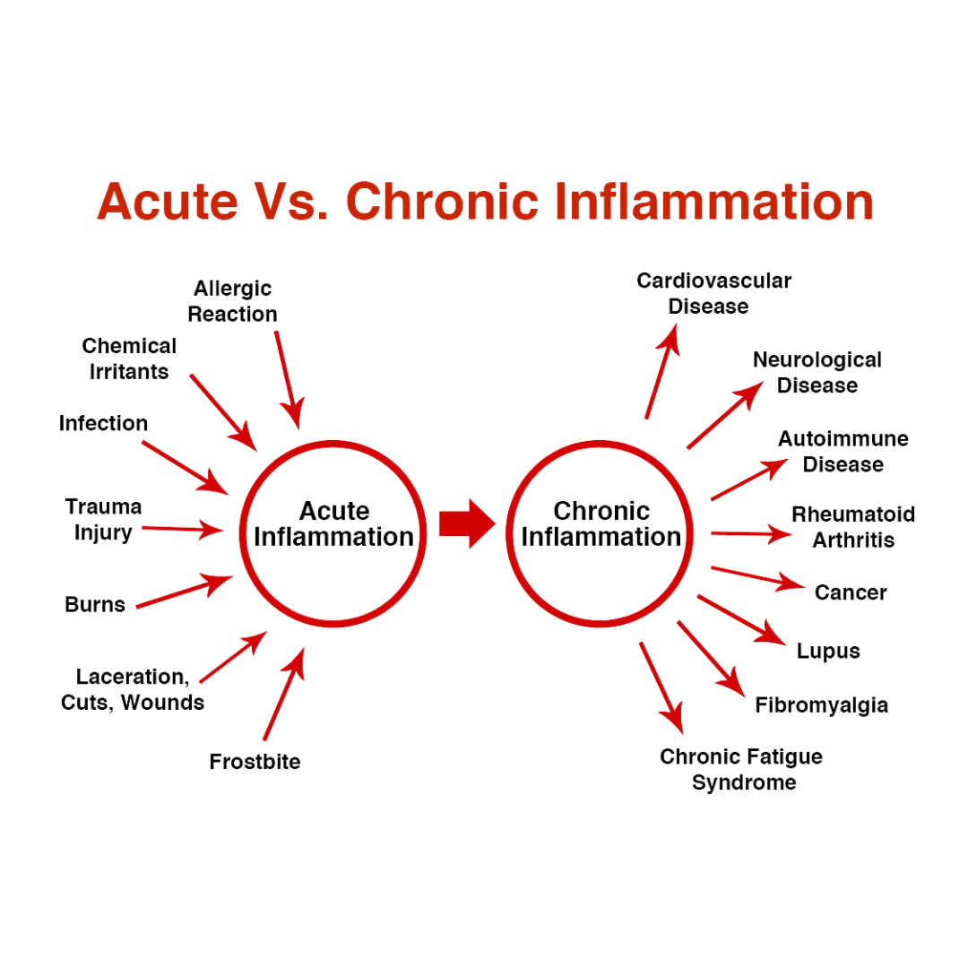 Akut vs. Kronik Inflamasyon