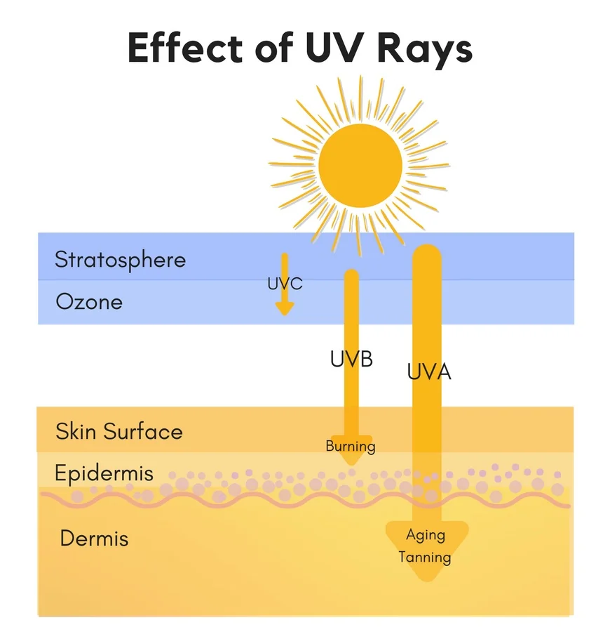 UV Işınlarının Etkisi
