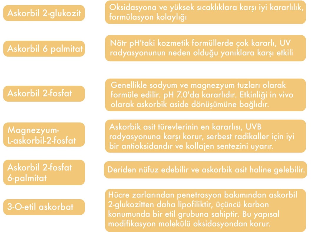 Askorbik Asit Türevleri