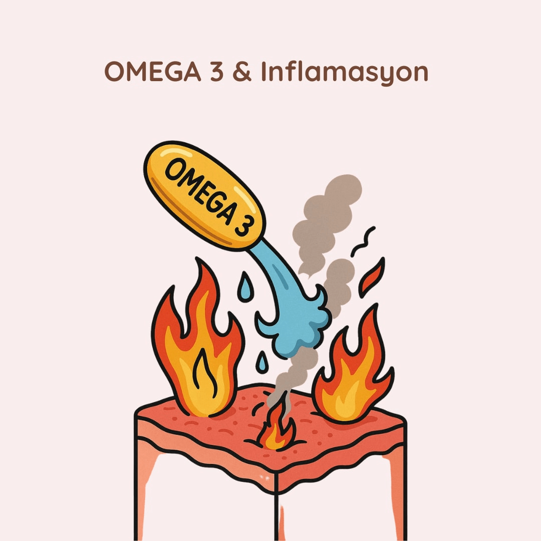 Omega-3 ve İnlamasyon
