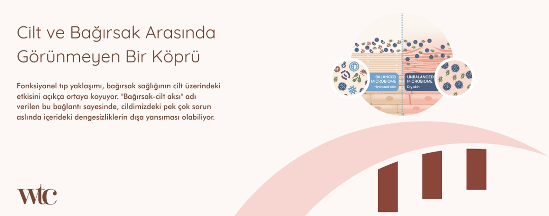 Cilt ve Bağırsak Arasında Bir Köprü