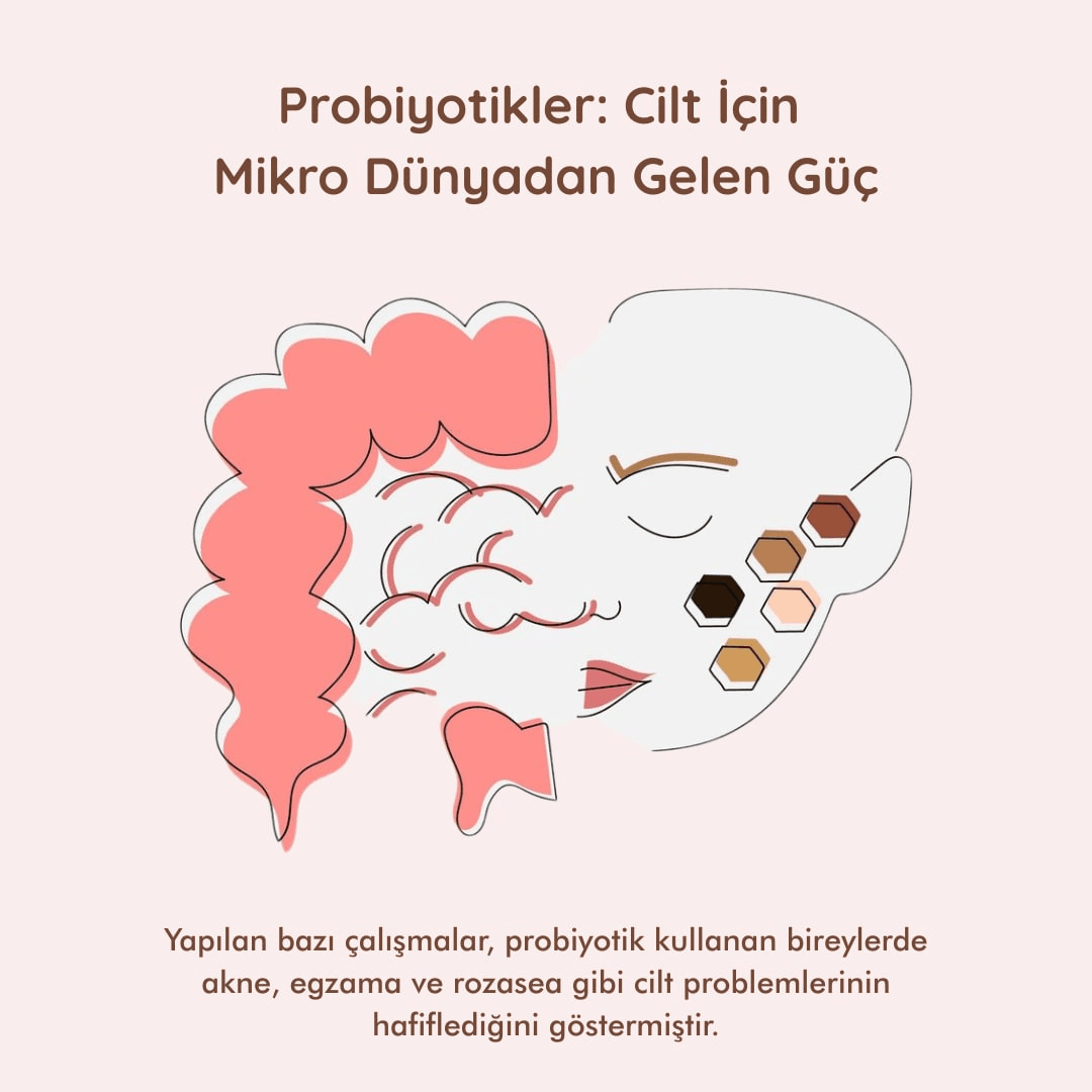 Probiyotikler