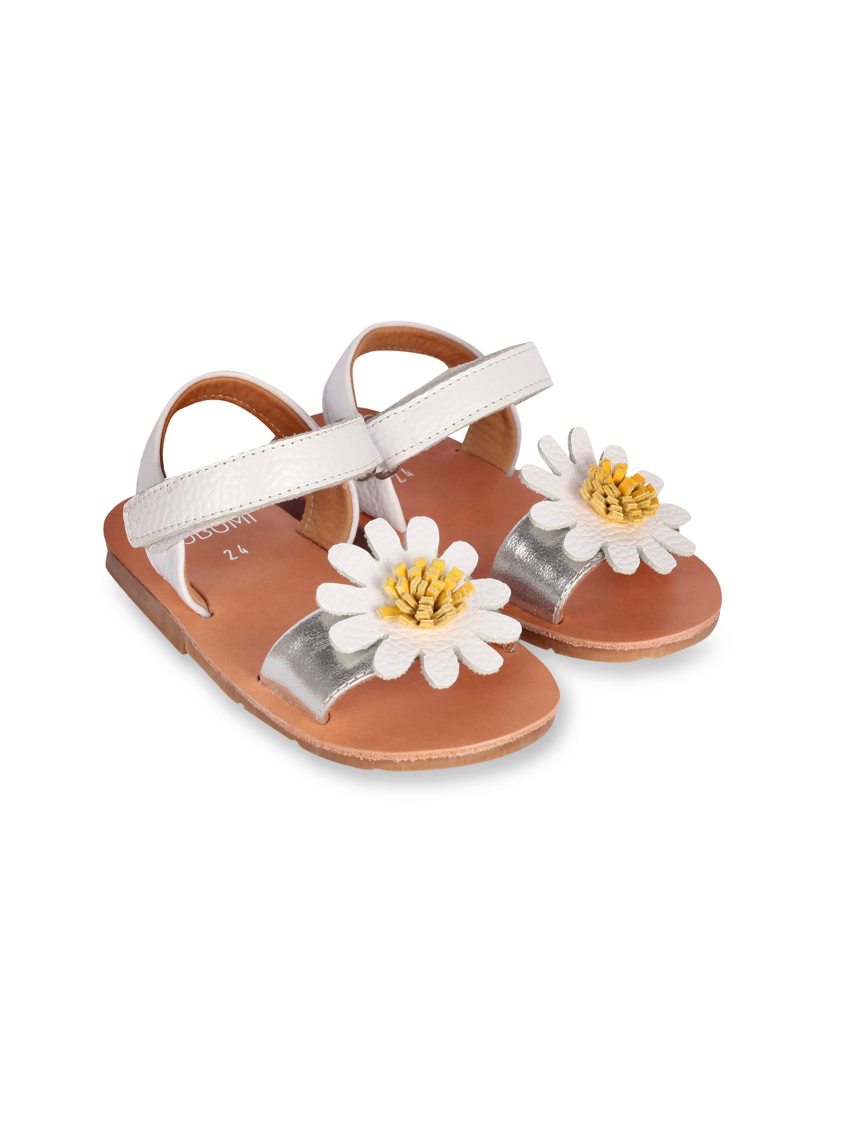 DAISY