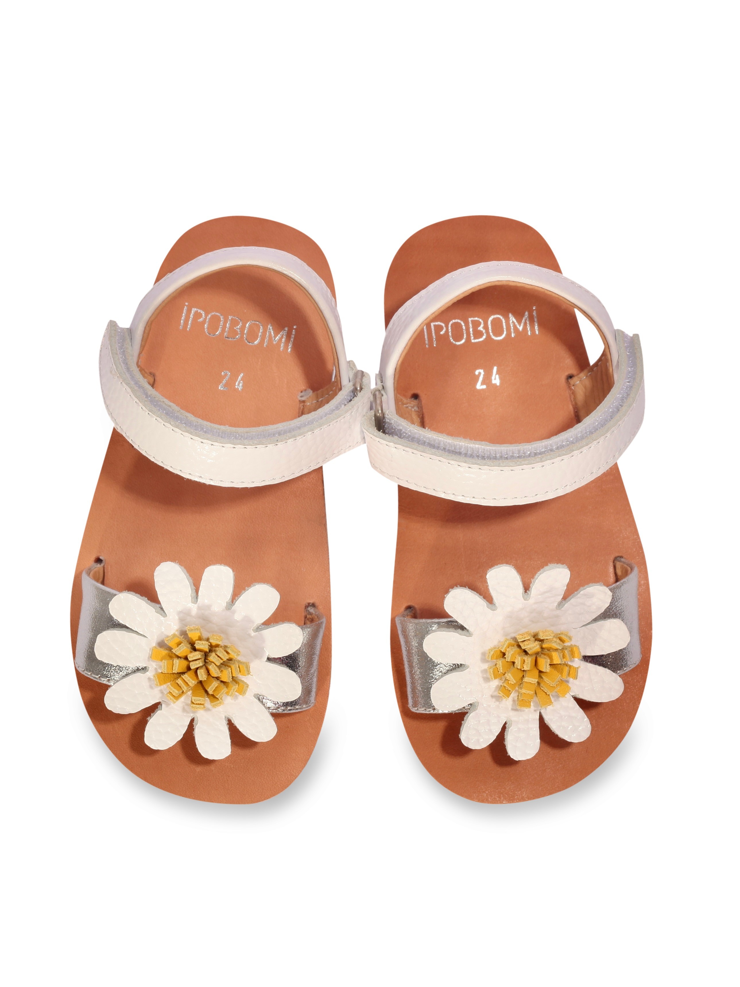 DAISY