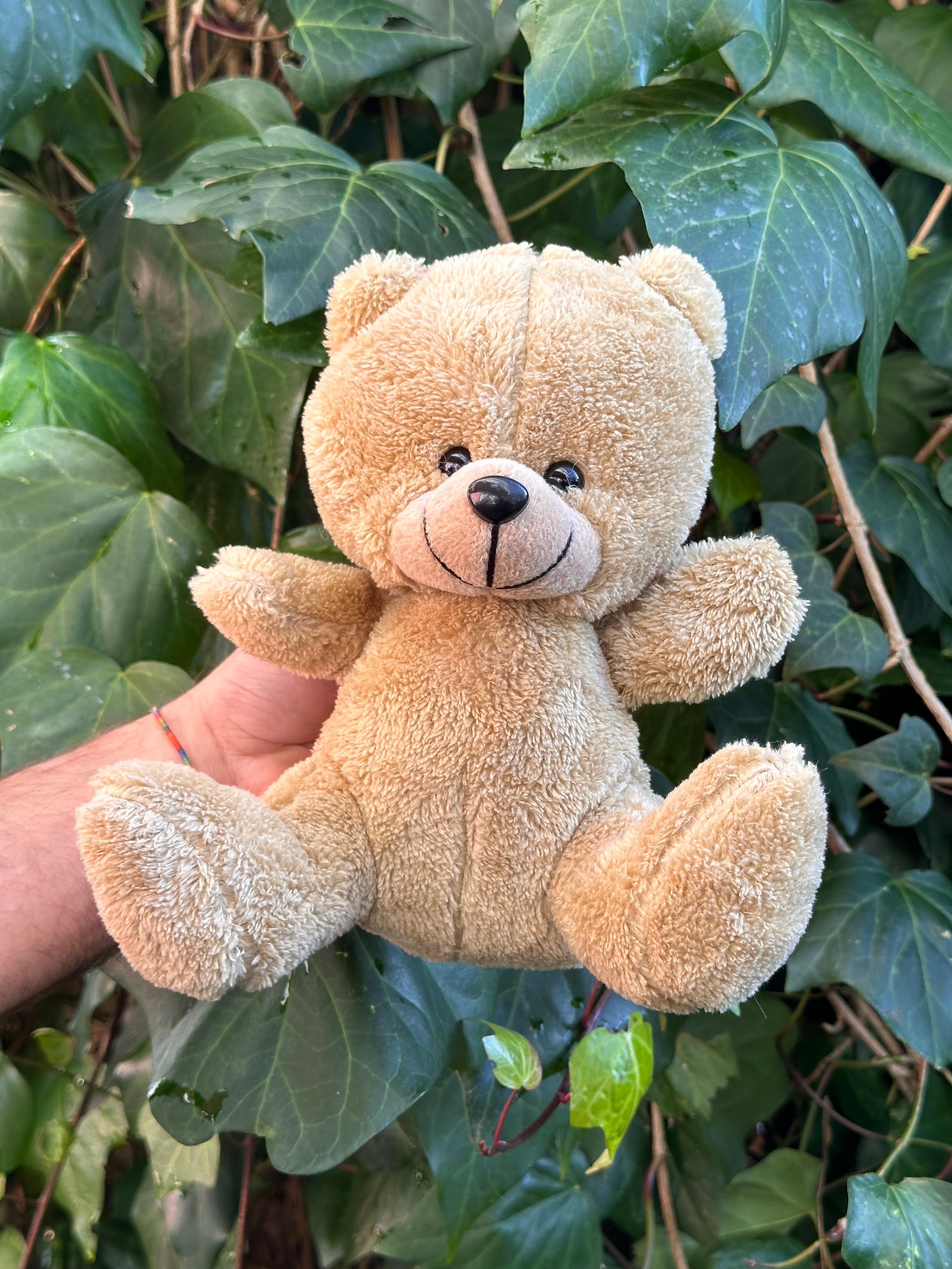 20 Cm Kahve Rengi  Sevimli Peluş Ayıcık