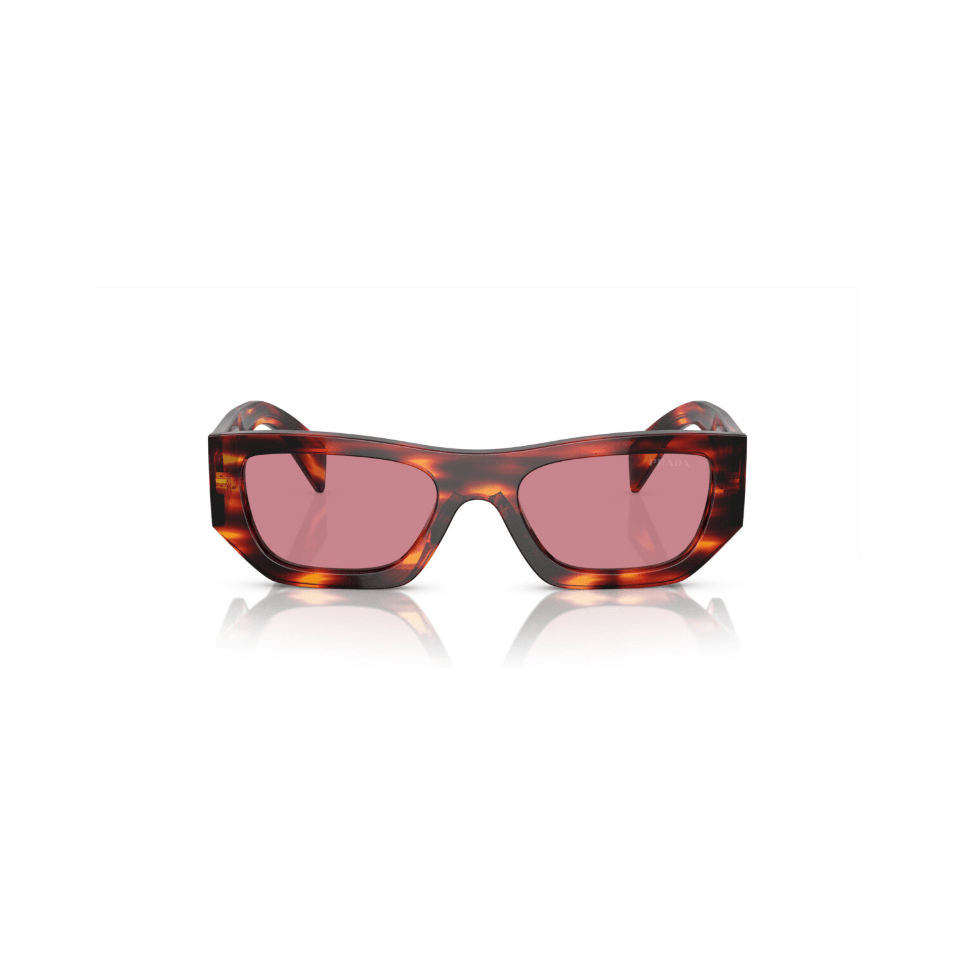 SPR A01 - Kahverengi - Classic Tortoise