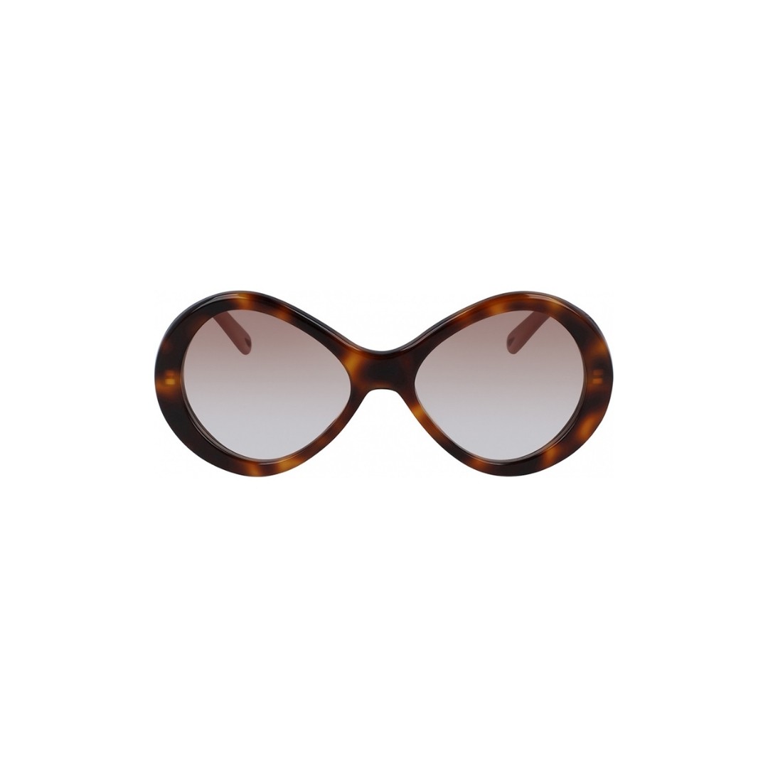 CE2743S - Kahverengi - Classic Tortoise