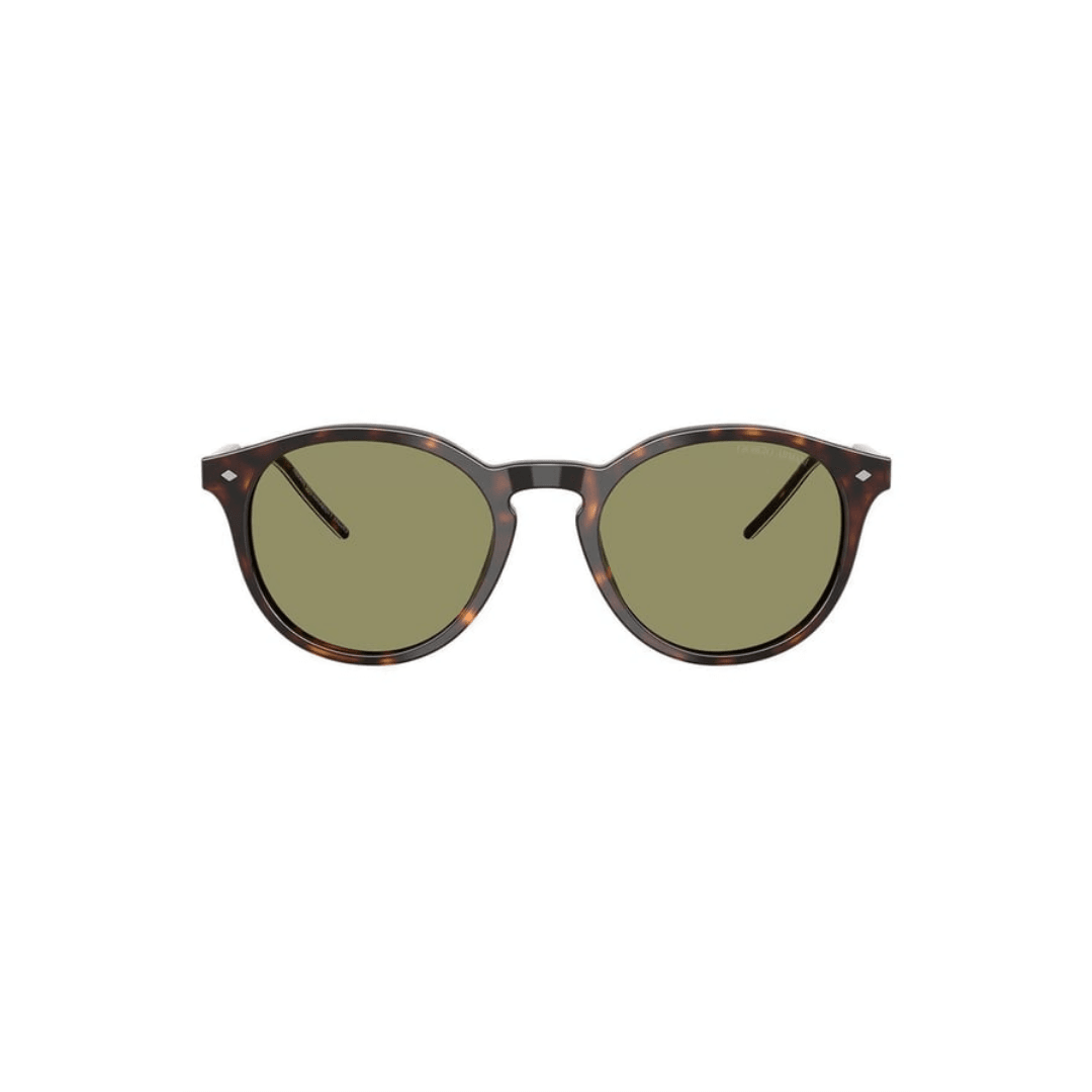 AR 8211 - Kahverengi - Classic Tortoise