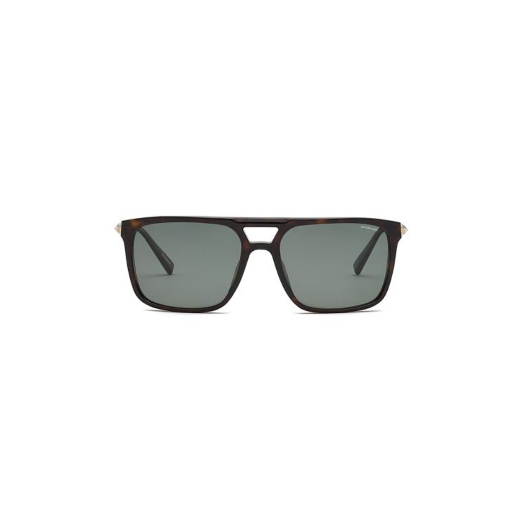 SCH311 - Kahverengi - Classic Tortoise