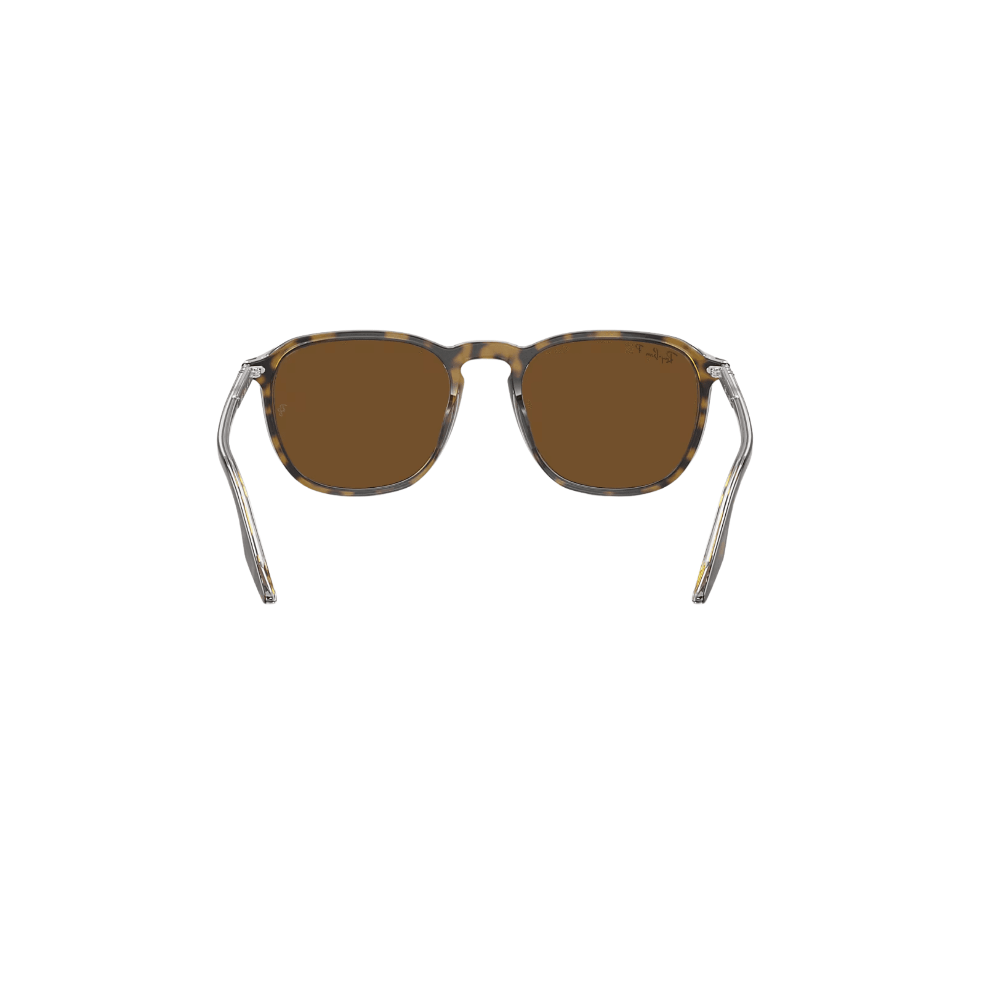RB 2203 Polarize