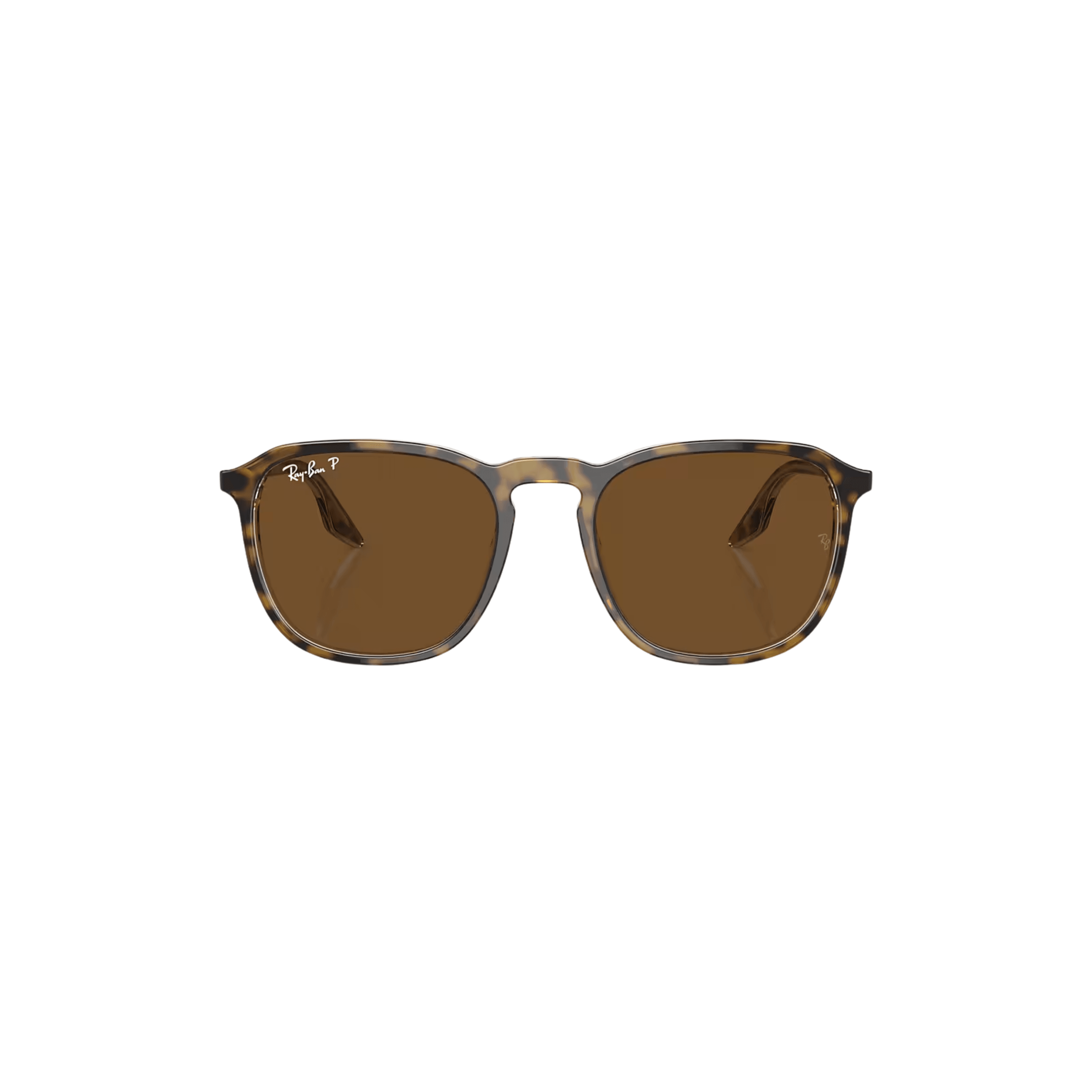 RB 2203 Polarize - Kahverengi - Classic Tortoise