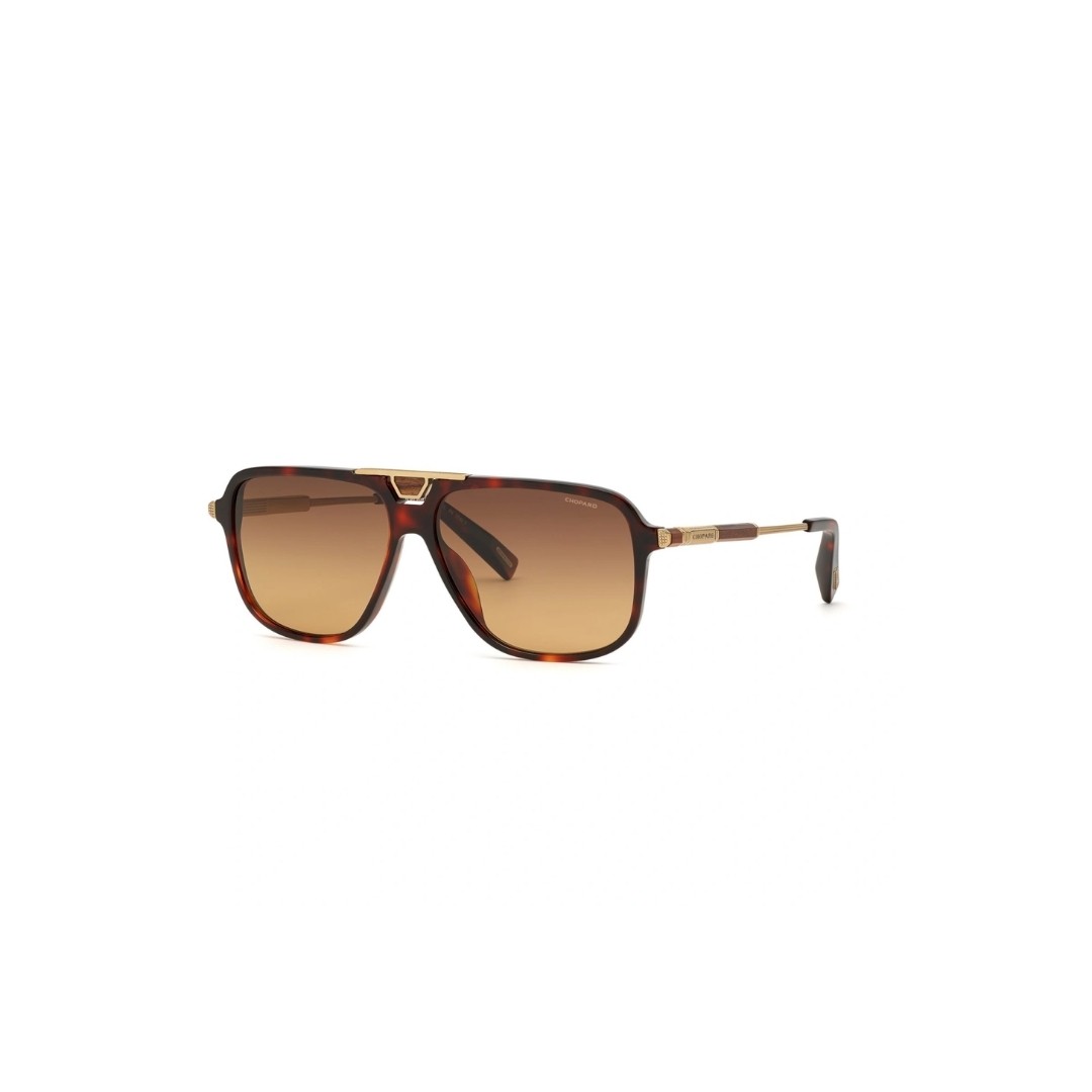 SCH340 - Classic Tortoise - Gold