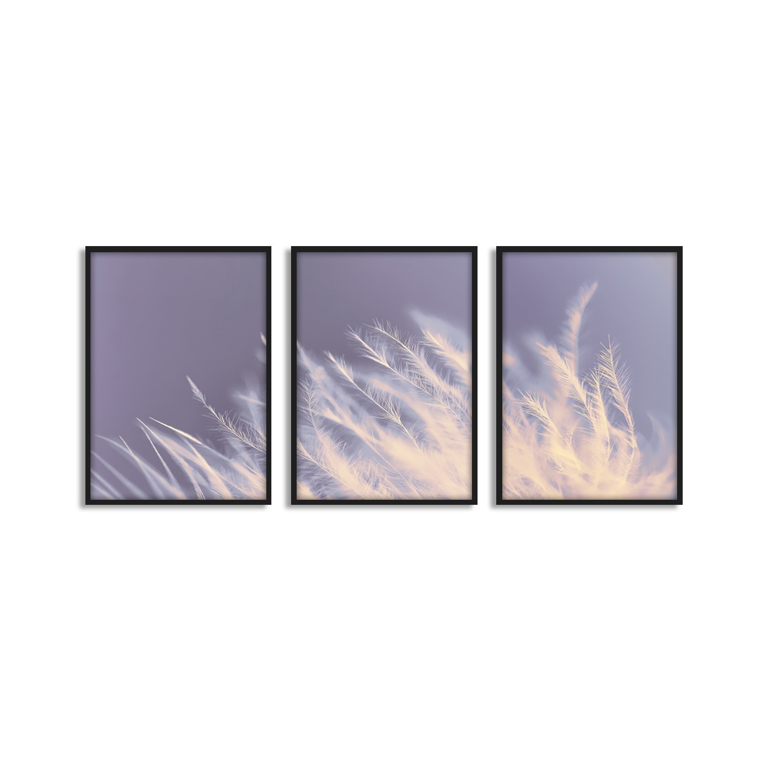 Dandelion - Split Canvas Sets