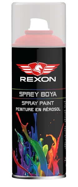 REXON SPREY BOYA