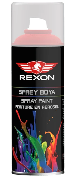 Rexon Sprey Boya