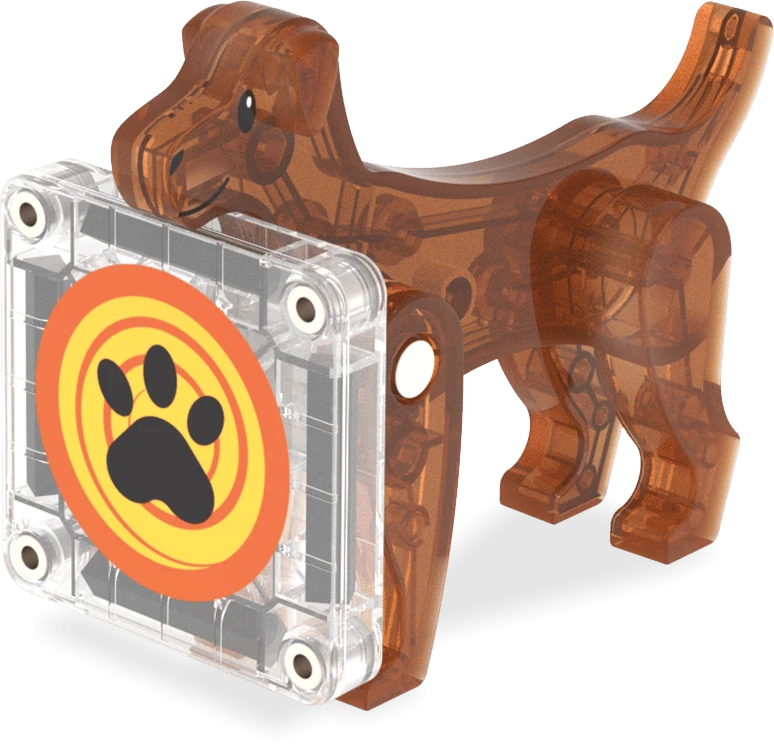 Dog House - 13 Parça