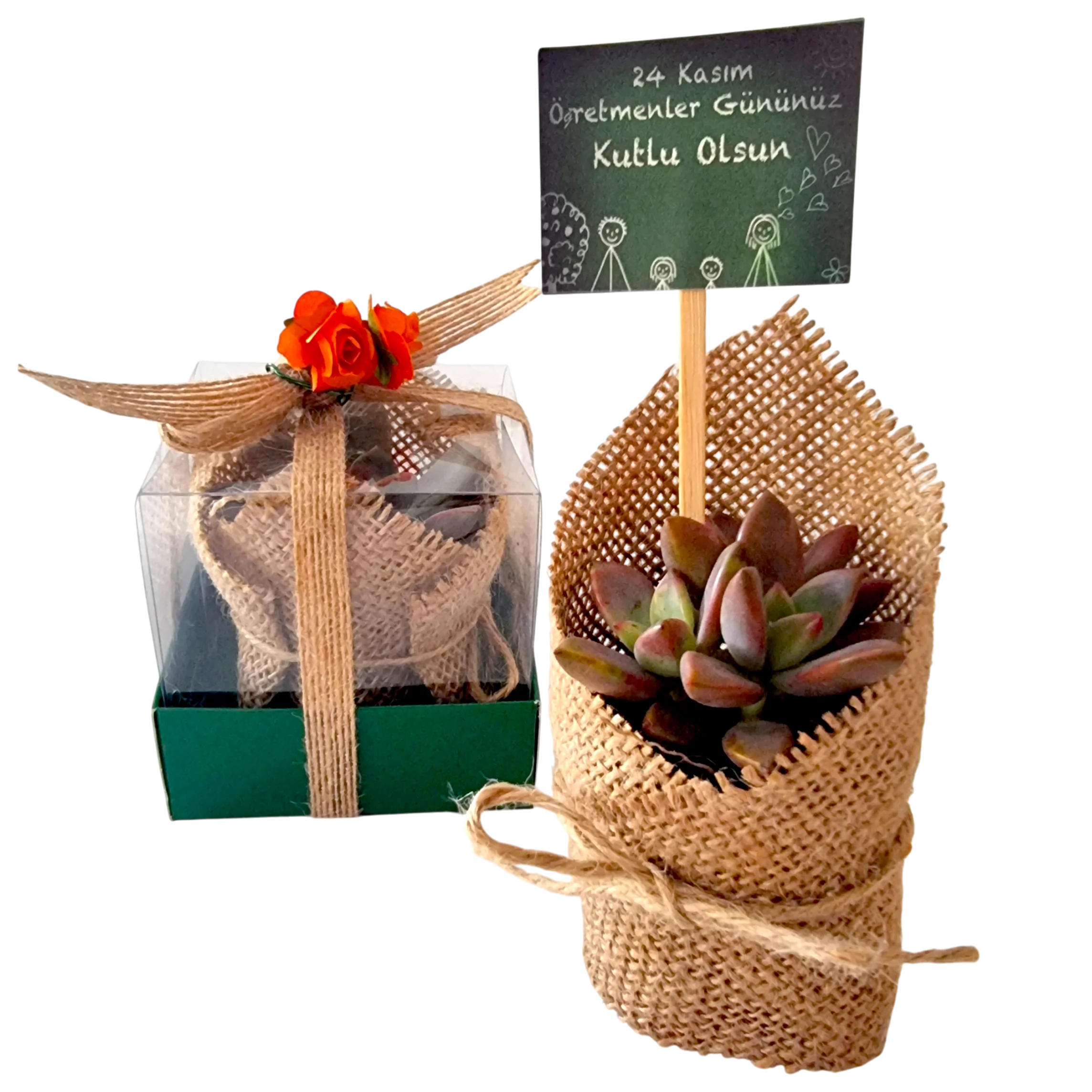 Mini Sukulent -Öğretmenler Günü Hediyesi