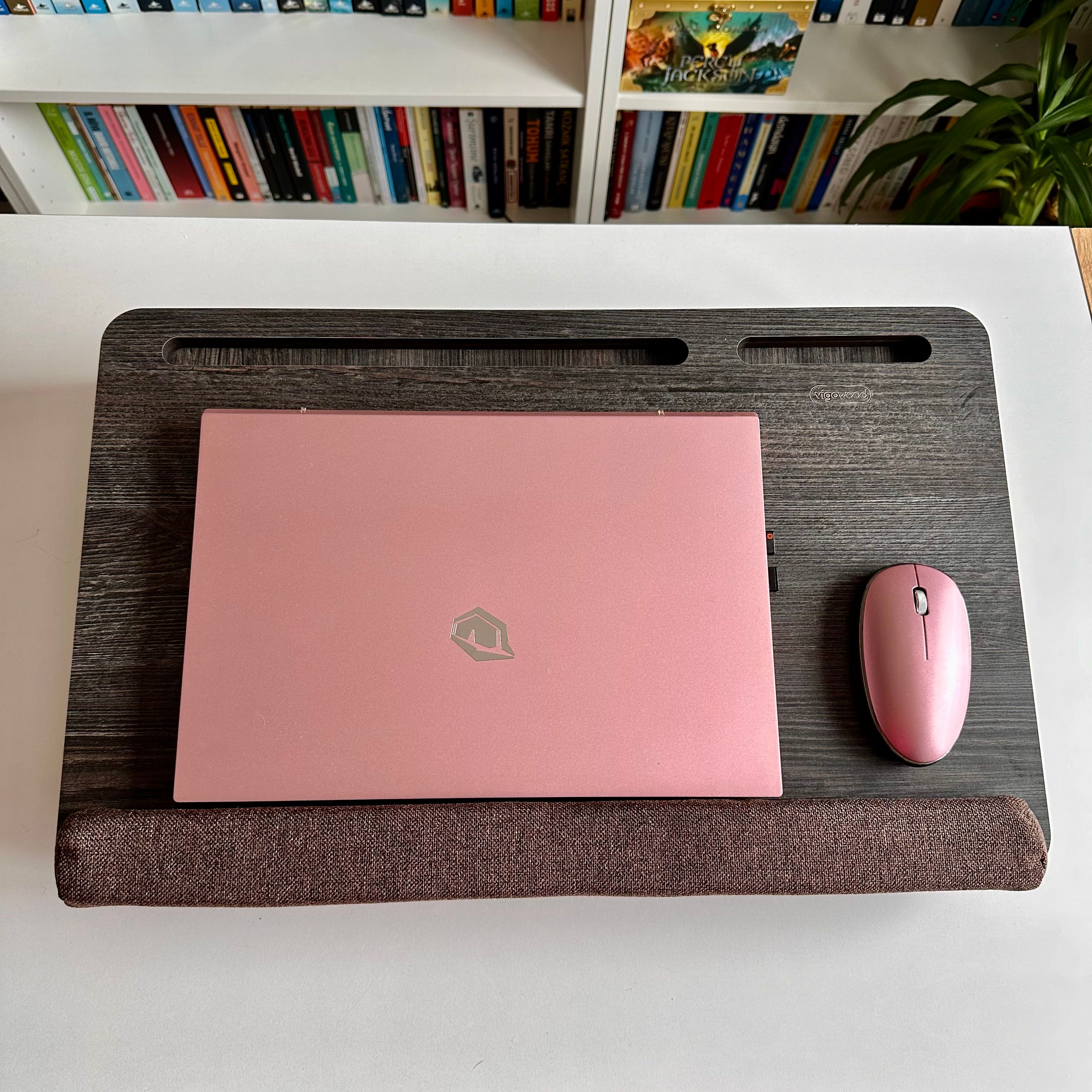 LS021 Taşınabilir Minderli Laptop Standı