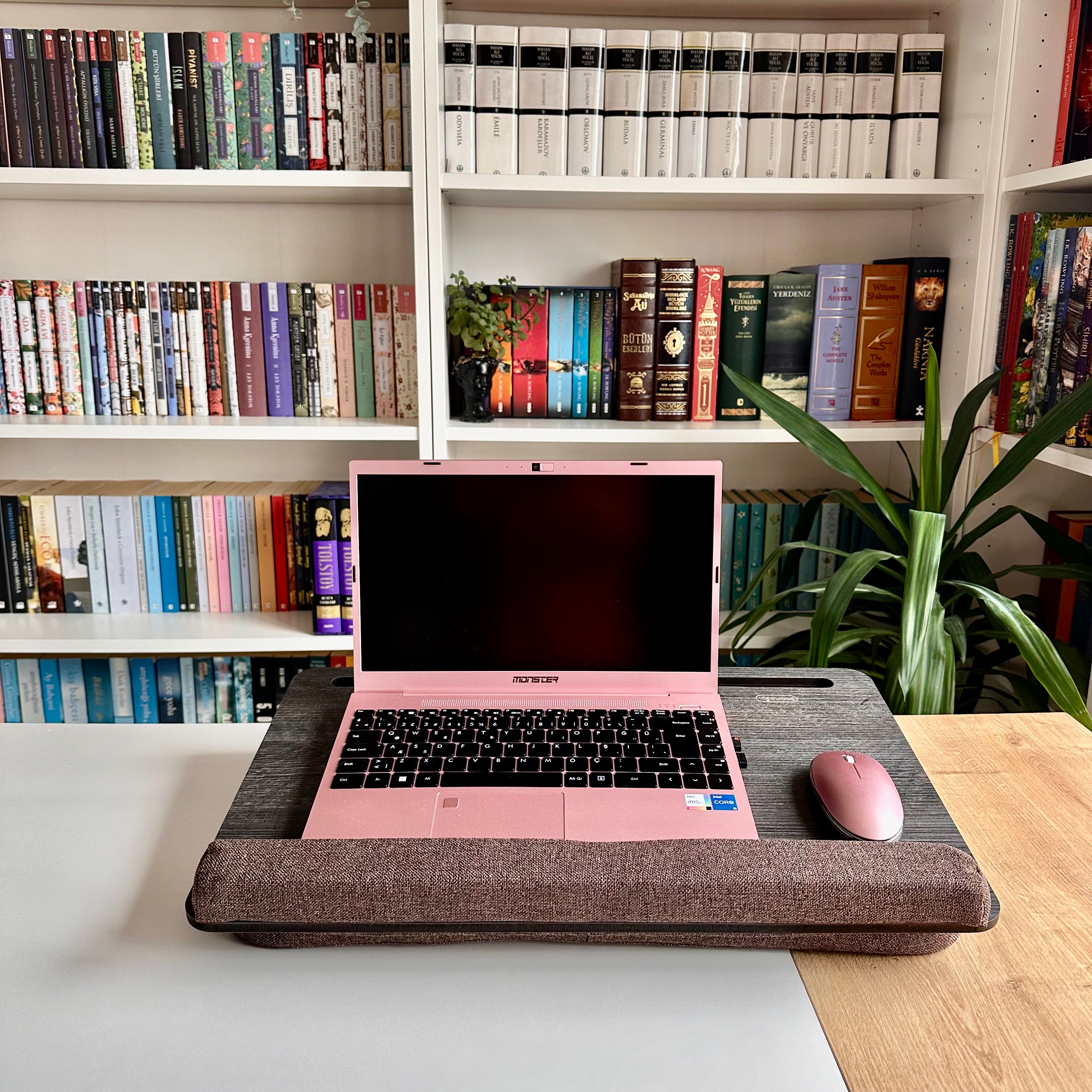 LS021 Taşınabilir Minderli Laptop Standı