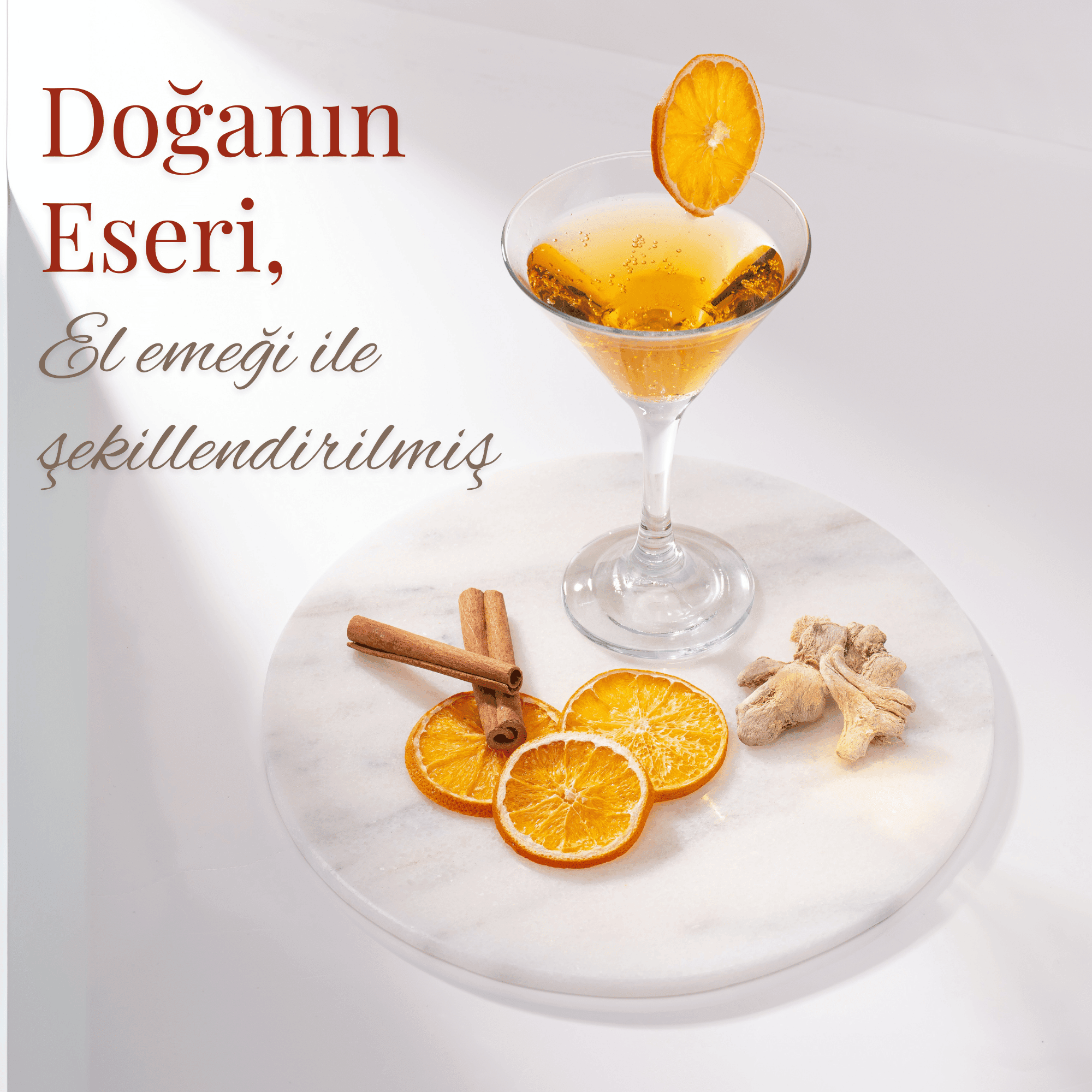 ÇOK AMAÇLI SUNUM TEPSİSİ