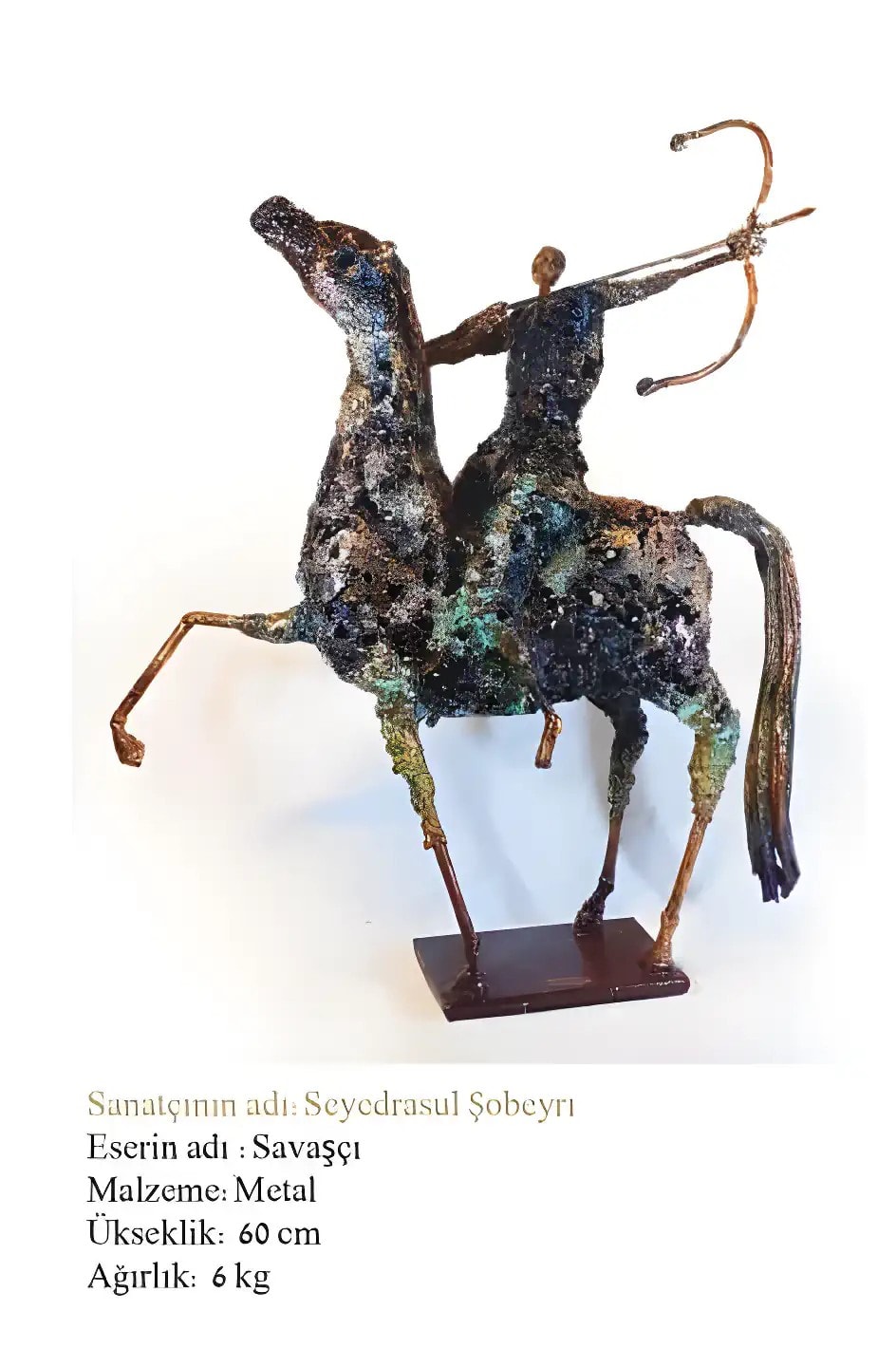 Seyedrasool Shobeiry Eseri