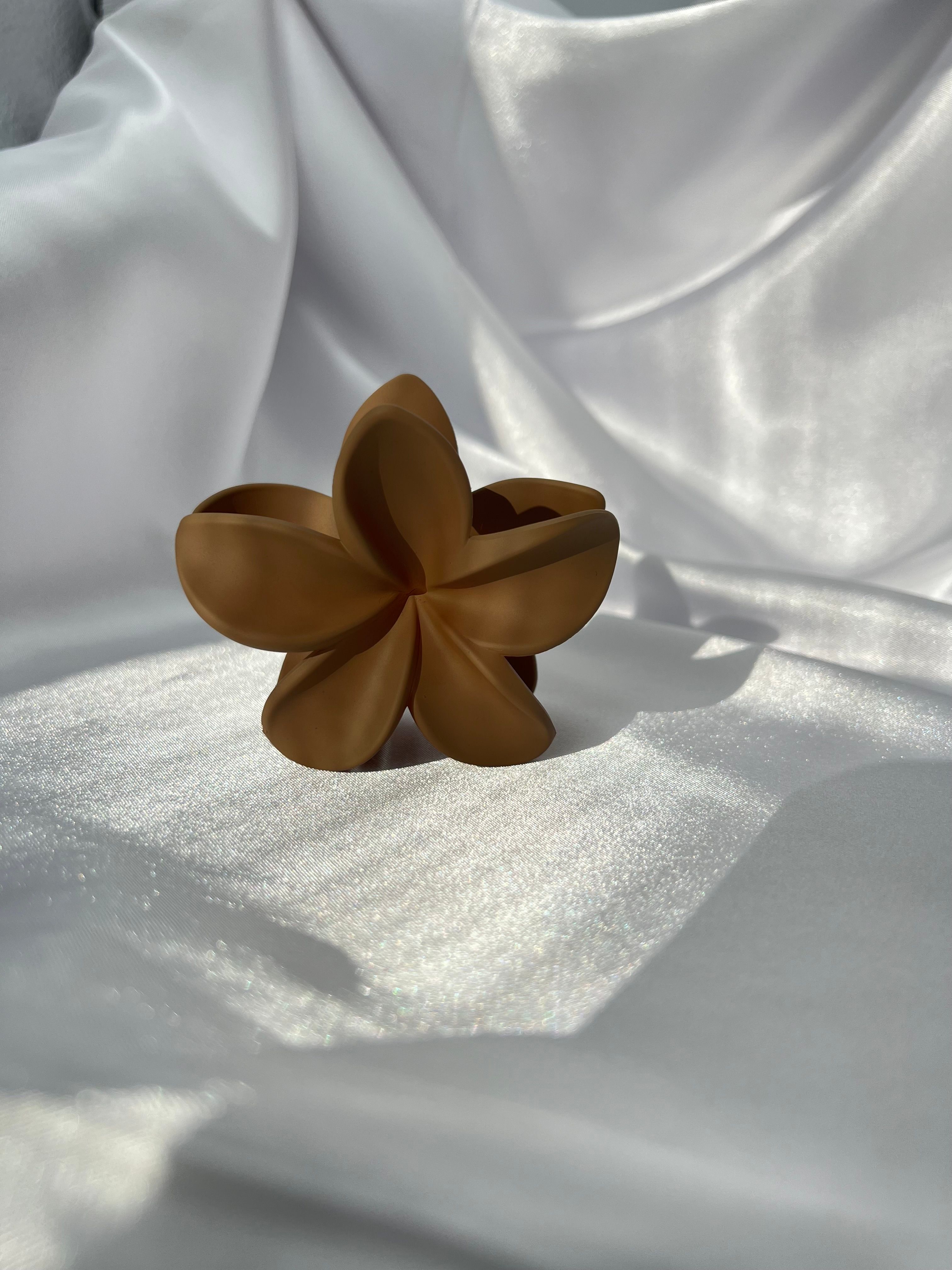 Lotus Toka 8 cm (Büyük Boy)