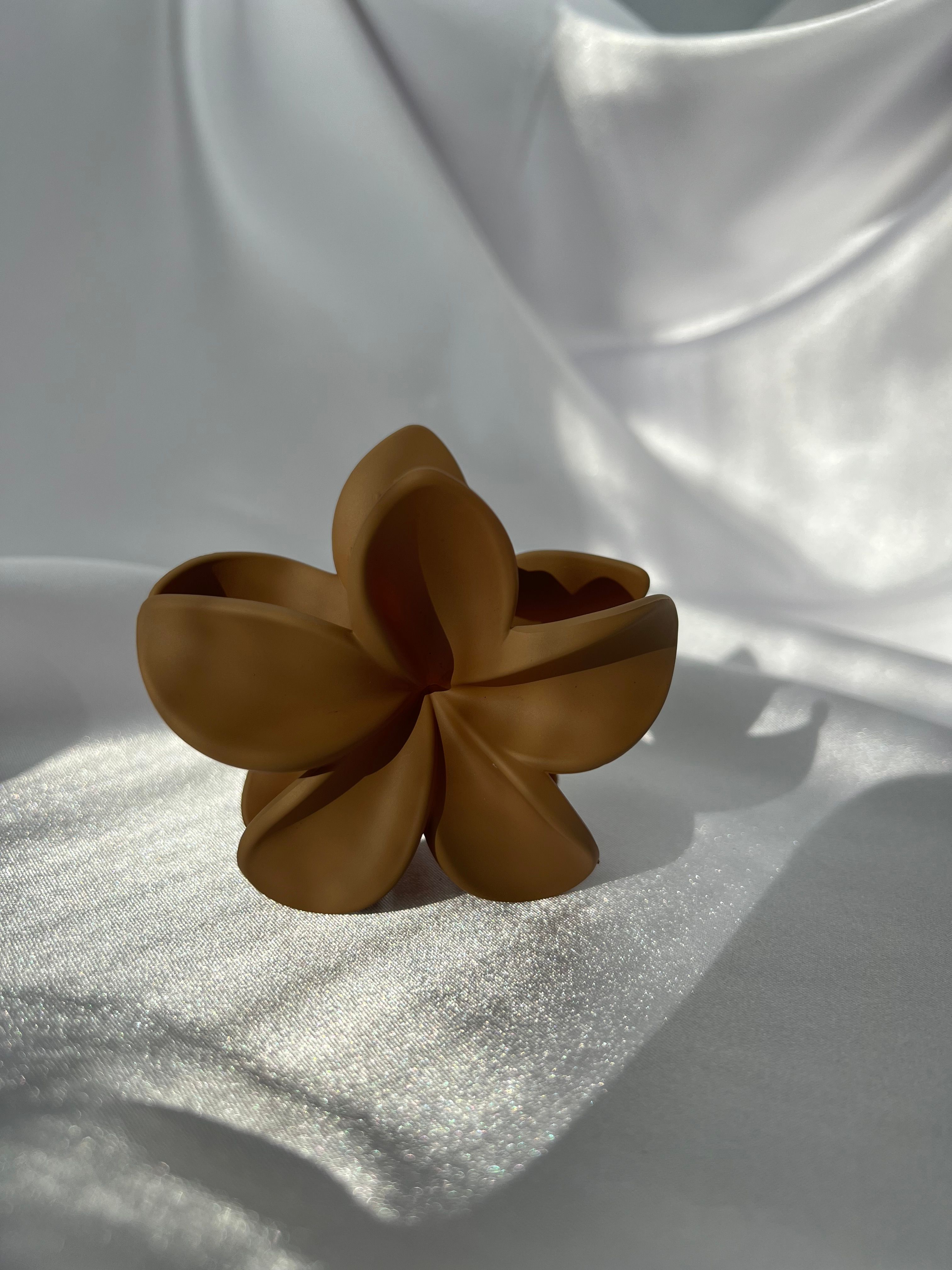 Lotus Toka 8 cm (Büyük Boy)