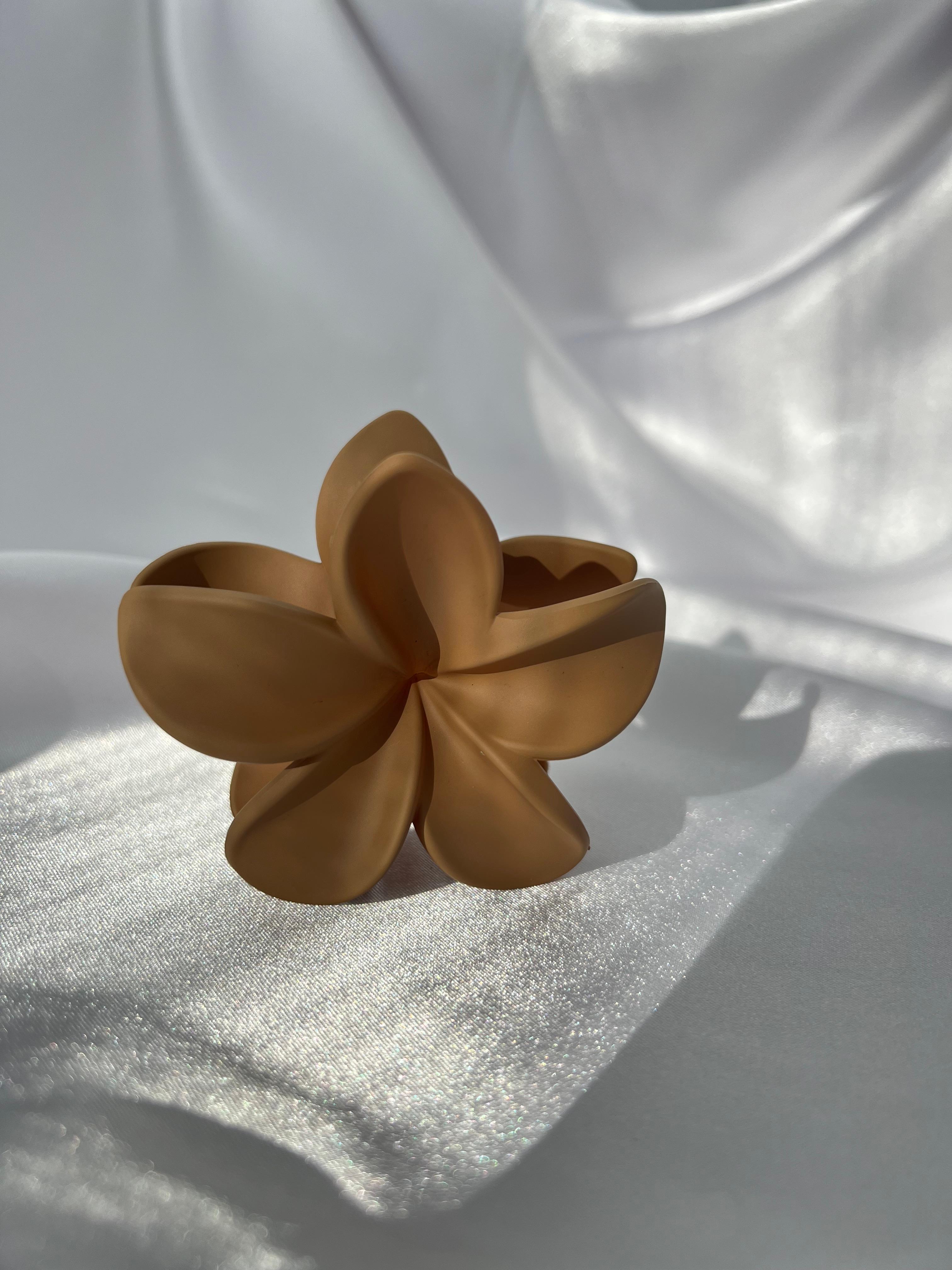 Lotus Toka 8 cm (Büyük Boy)