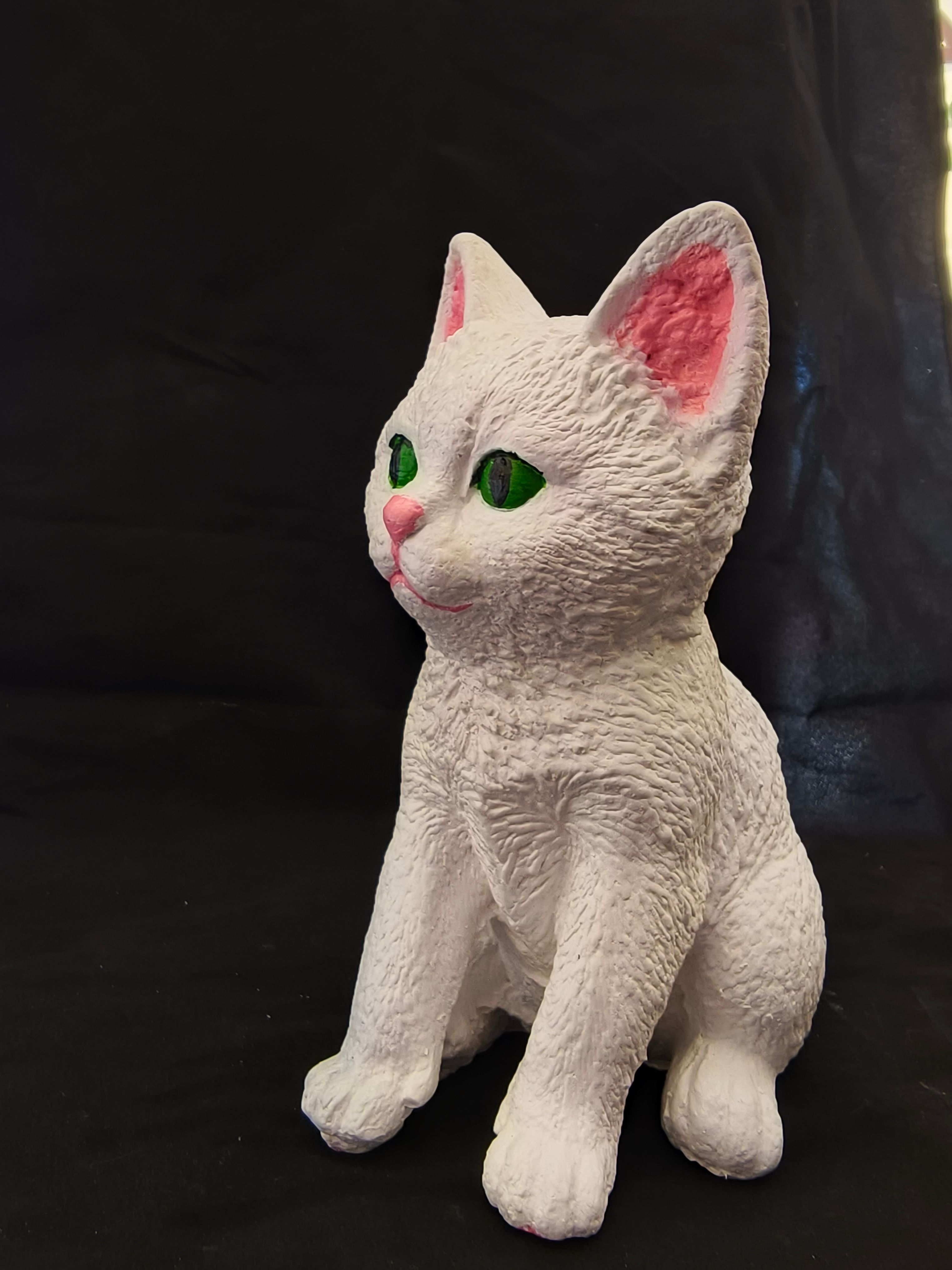 Kedi Biblo
